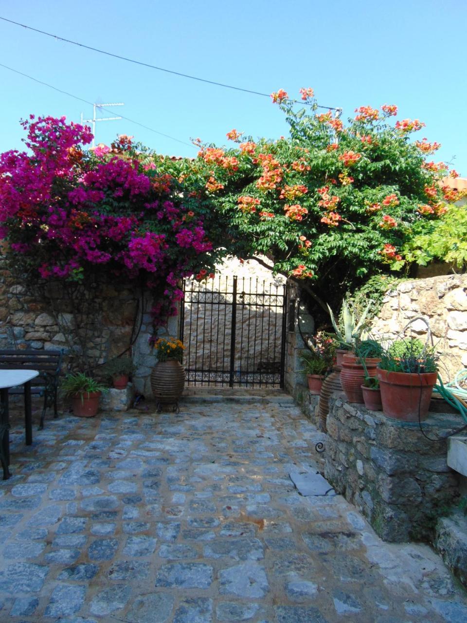 Olga'S House Daire Néon Oítilon Dış mekan fotoğraf